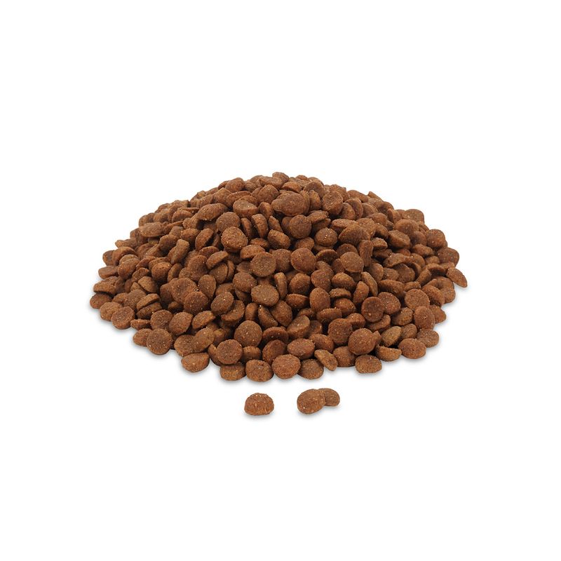 Pile of brown dry food kibbles, round and evenly shaped.