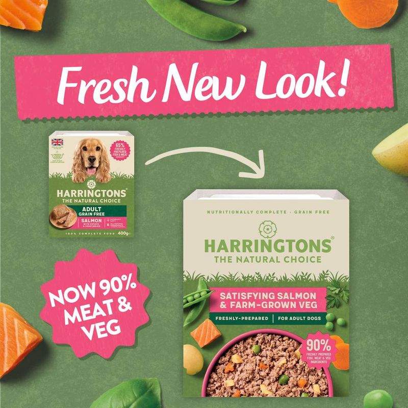 Harringtons Complete Adult Grain-Free Dog - Salmon with Potato & Vegetables || Harringtons || view 6