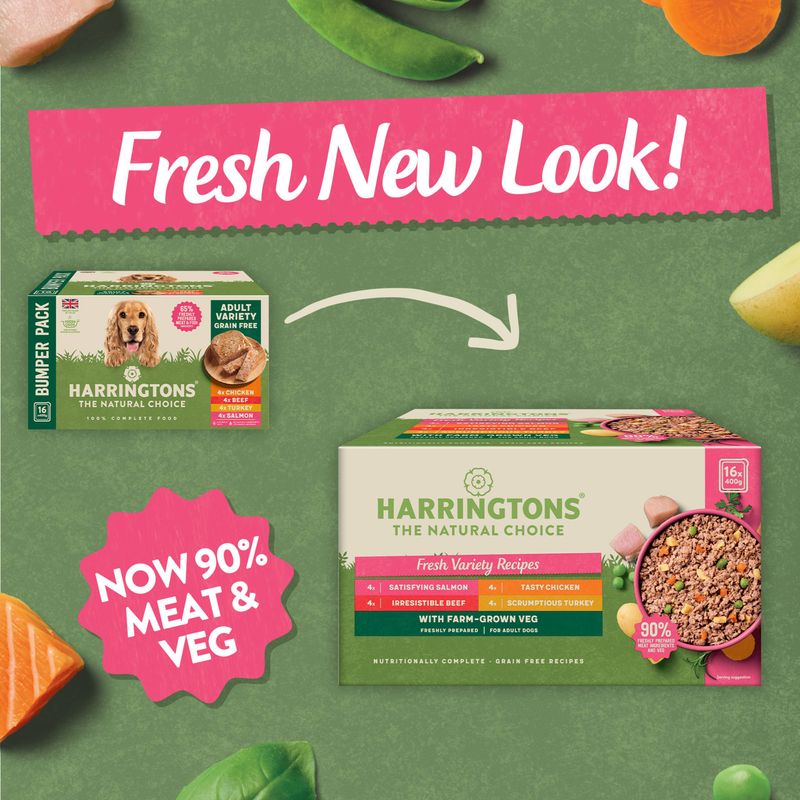Harringtons Complete Adult Grain-Free - Fresh Variety || Harringtons || view 4