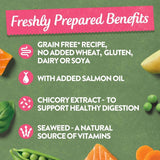 Harringtons Complete Adult Grain-Free Dog - Salmon with Potato & Vegetables || Harringtons || view 4