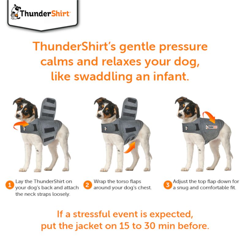 Instructions showing how to put on ThunderShirt: lay on back, attach neck straps, wrap torso flaps around chest, adjust top flap for snug fit. Use 15–30 minutes before stressful event.
