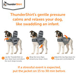 Instructions showing how to put on ThunderShirt: lay on back, attach neck straps, wrap torso flaps around chest, adjust top flap for snug fit. Use 15–30 minutes before stressful event.