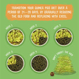 Burgess Excel Adult Guinea Pig Nuggets with Mint || undefined || view 6