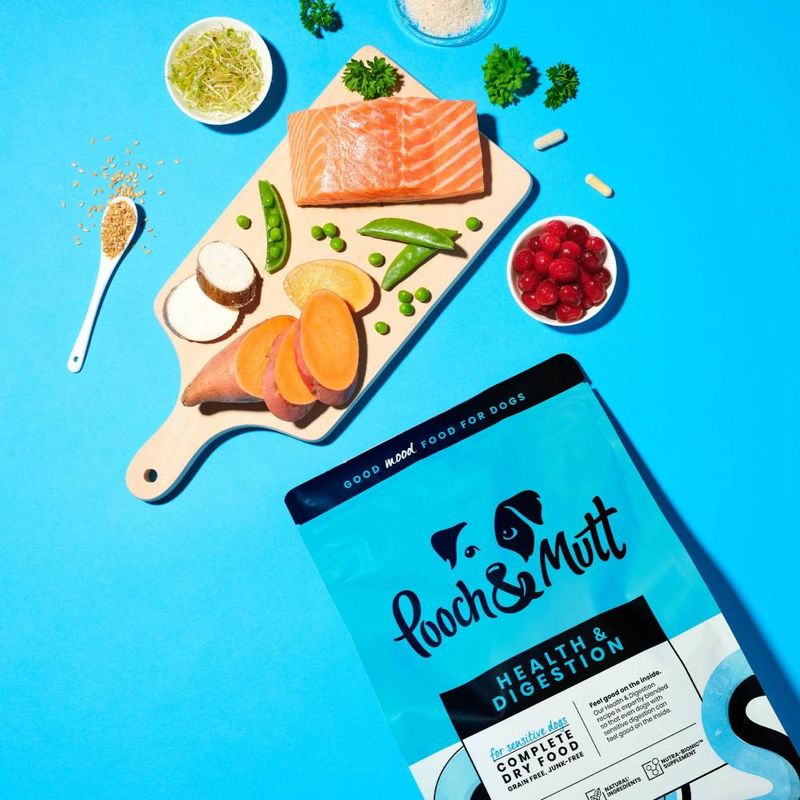 Pooch and Mutt Health & Digestion Wet Dog Food || Pooch & Mutt || view 4