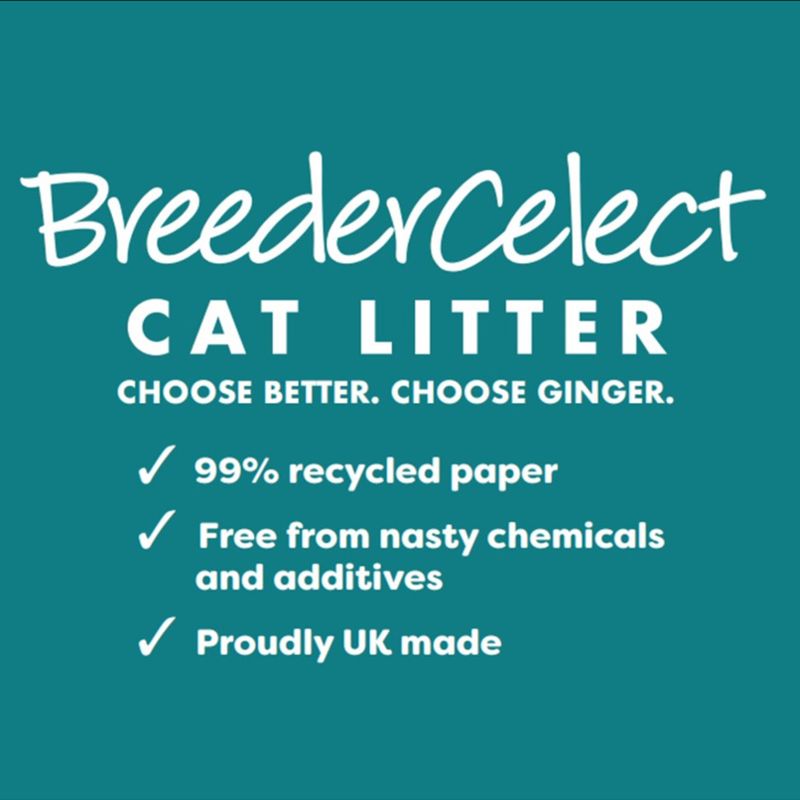 BreederCelect cat litter. 99% recycled paper, free from nasty chemicals and additives, proudly UK made. Choose better. Choose ginger.