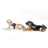 JULIUS-K9® Power Harness - Black || Julius-K9 || view 4