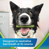 Purina Dentalife ActivFresh Daily Dental Care Snacks for Small Breed Dogs || Dentalife || view 2