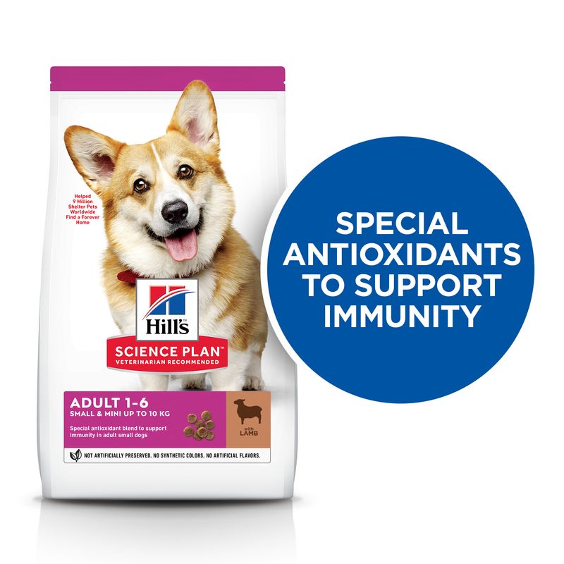 Hill’s Science Plan Adult 1-6 Small & Mini with Lamb & Rice || Hill's Science Plan || view 2