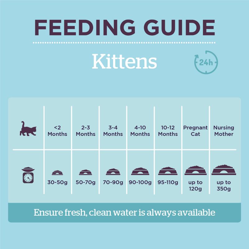 Burgess Kitten with Chicken || Burgess || view 7