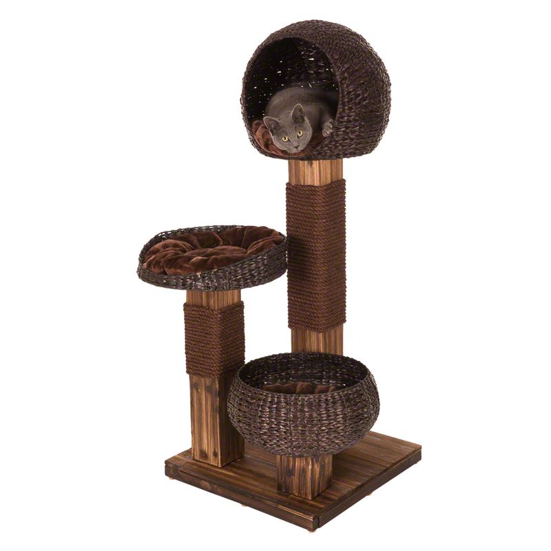 Cat tree made of brown wood and woven material with three levels: cave at the top, lounging area in the middle, basket at the bottom. Cat is lying in the top cave.
