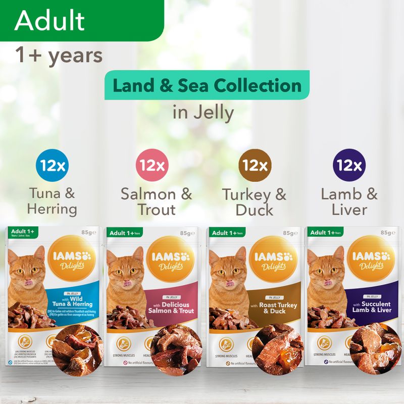 IAMS Delights Adult - Land & Sea Collection Mega Pack 48 x 85g || undefined || view 11