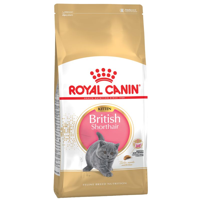 Royal Canin British Shorthair Kitten || undefined || view 2
