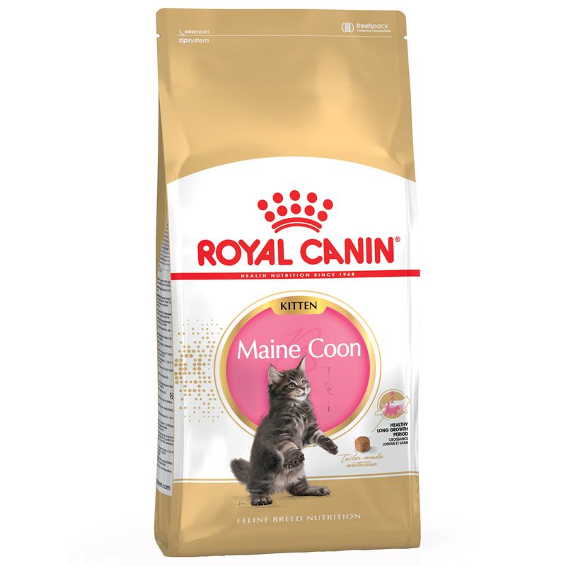 Royal Canin Maine Coon Kitten || Royal Canin Breed || view 2