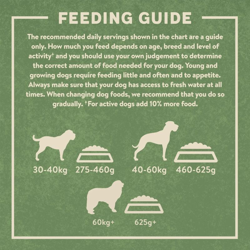 Harringtons Large Breed Adult Dog - Rich in Lamb & Rice || Harringtons || view 6