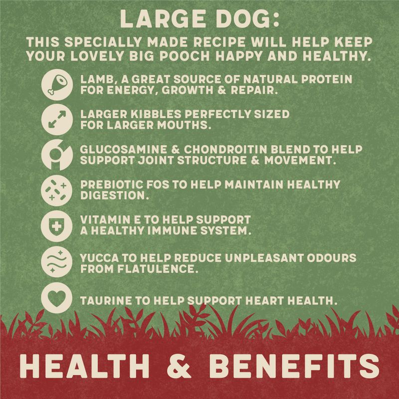 Harringtons Large Breed Adult Dog - Rich in Lamb & Rice || Harringtons || view 3