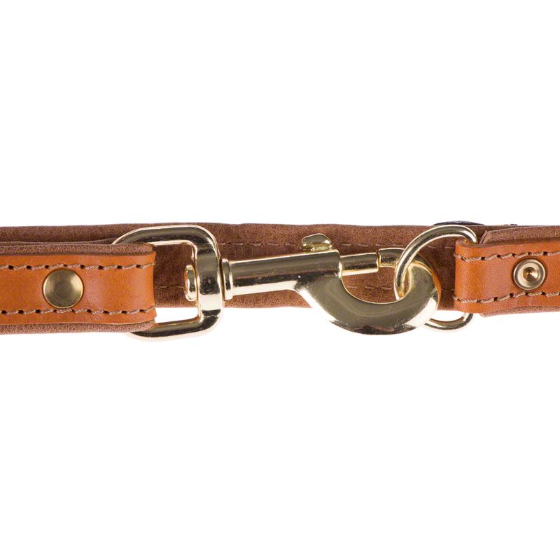 Close-up of a brown leather dog lead with gold-coloured metal snap hook and studs.