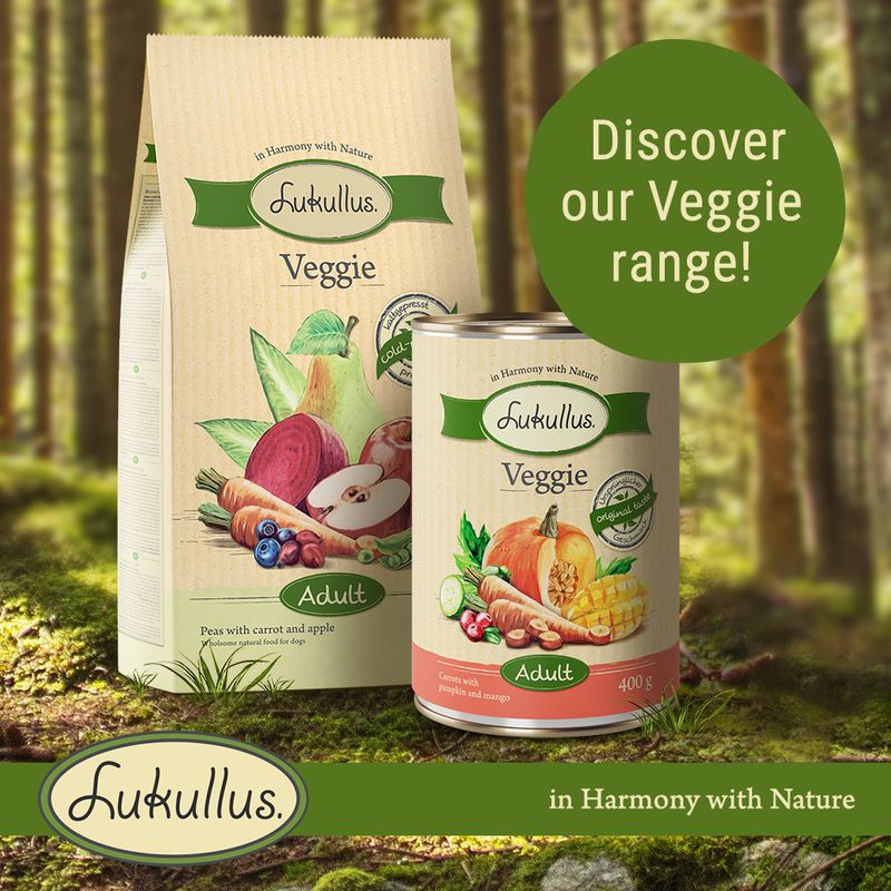 Lukullus Cold-Pressed Veggie || Lukullus || view 8