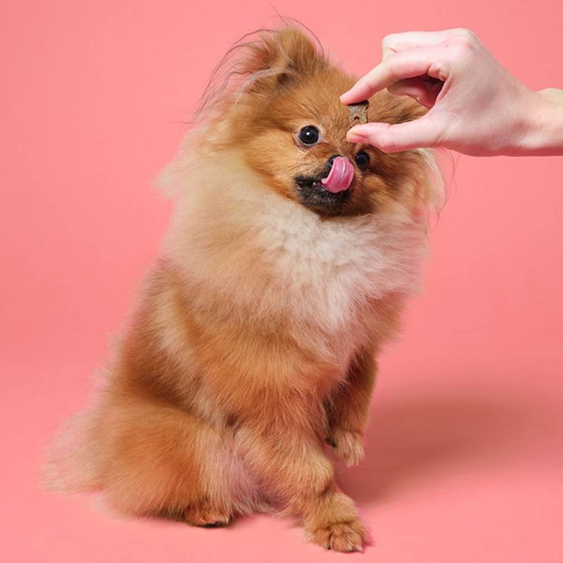 Pooch and Mutt Dental Meaty Treats 120g || Pooch & Mutt || view 3