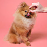 Pooch and Mutt Dental Meaty Treats 120g || Pooch & Mutt || view 3
