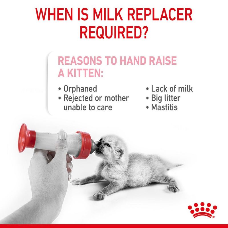 Royal Canin Babycat Milk || Royal Canin || view 4