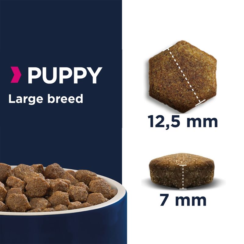 Eukanuba Grain Free Puppy Large Breed - Lamb || Eukanuba || view 4
