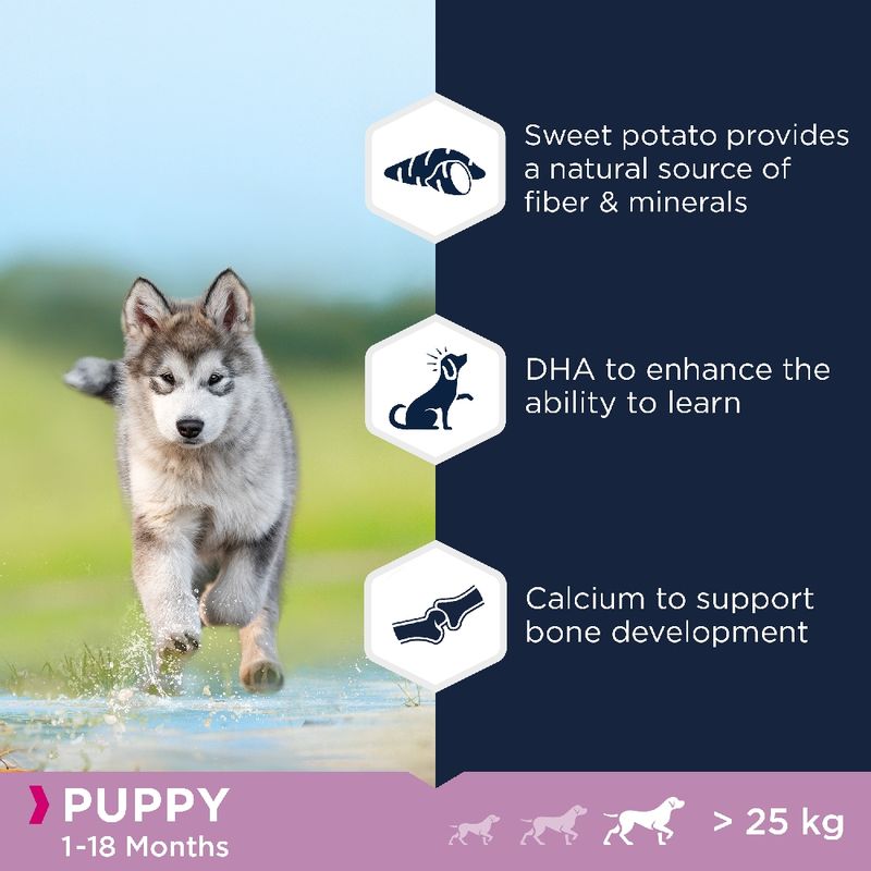 Eukanuba Grain Free Puppy Large Breed - Lamb || Eukanuba || view 3
