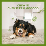 Text reads: Chew it! Chew it real gooood. Image shows a pet holding a chew treat, with icons suggesting time and natural ingredients.