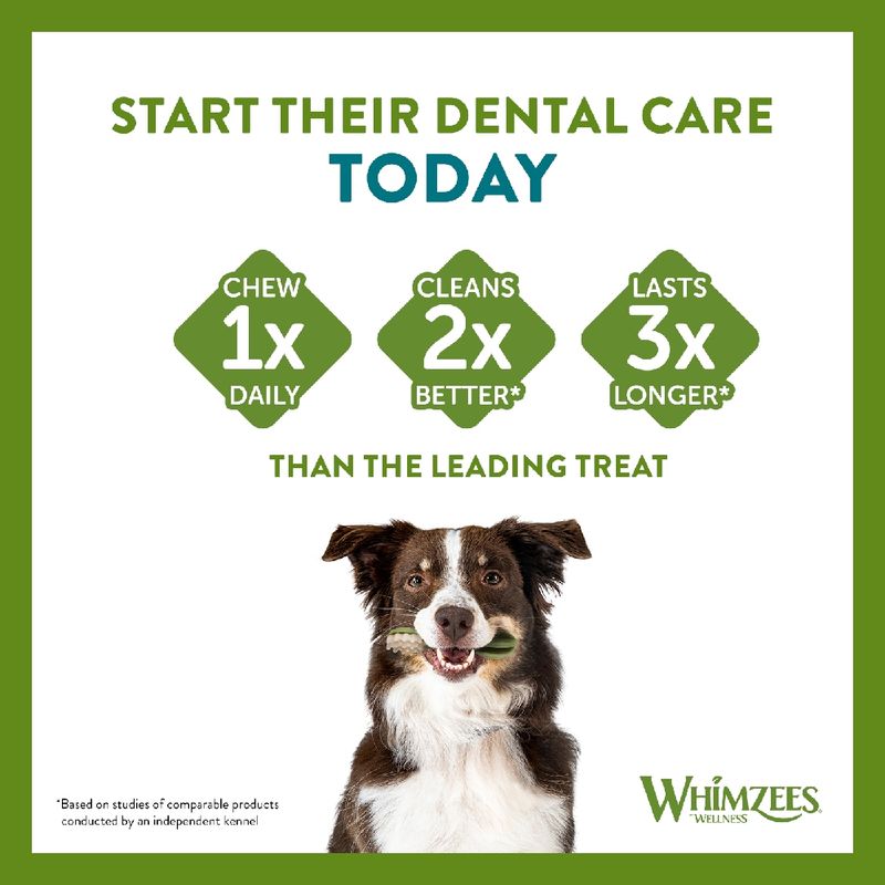 Start their dental care today. Chew once daily, cleans two times better, lasts three times longer than the leading treat. Dog holding dental chew. Whimzees Wellness.