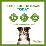 Start their dental care today. Chew once daily, cleans two times better, lasts three times longer than the leading treat. Dog holding dental chew. Whimzees Wellness.