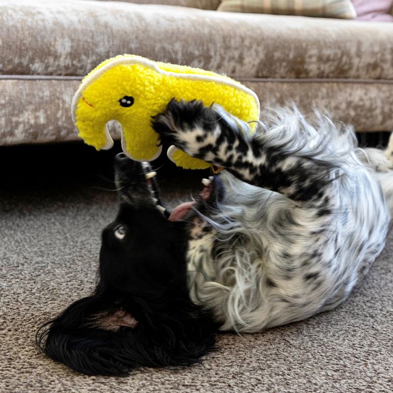 PetLove Elephant Tuffles by Resploot || Petlove || view 12