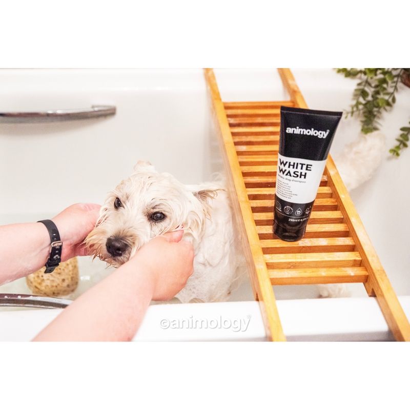 Person washing a wet dog in a bath with Animology White Wash shampoo tube placed on a wooden bath tray.