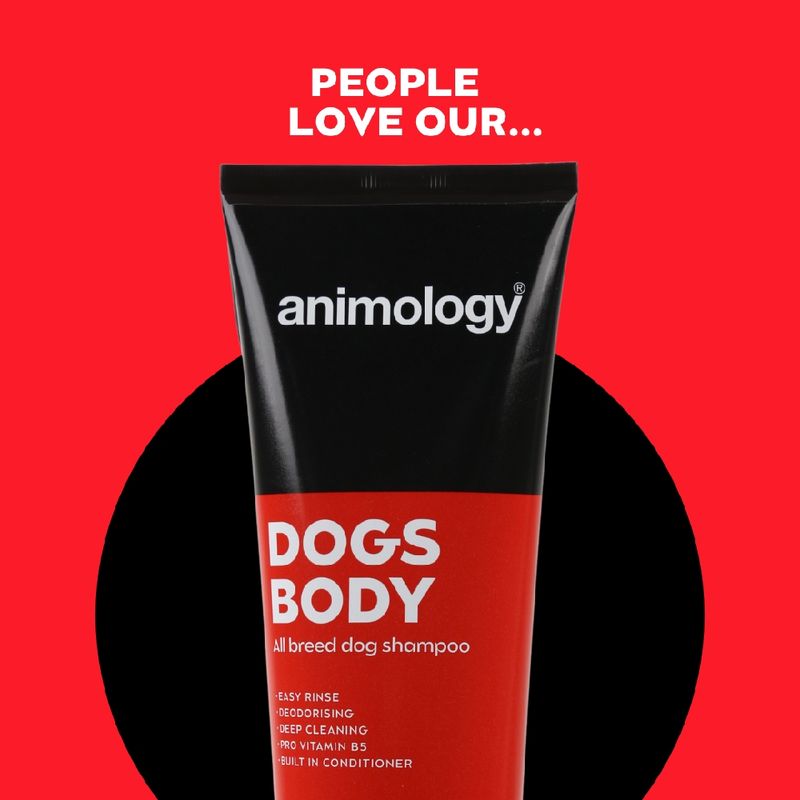 Animology Dogs Body all breed dog shampoo with easy rinse, deodorising, deep cleaning, pro vitamin B5 and built-in conditioner features. Text: People love our...