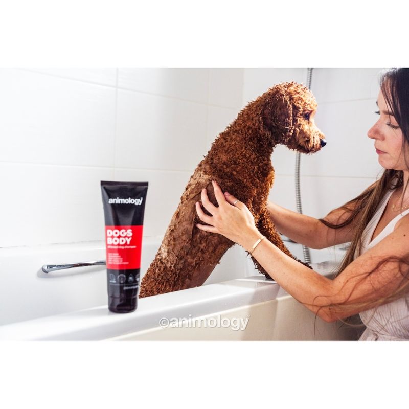 Dog being bathed in a tub with Animology Dogs Body shampoo tube visible, demonstrating product use during washing.