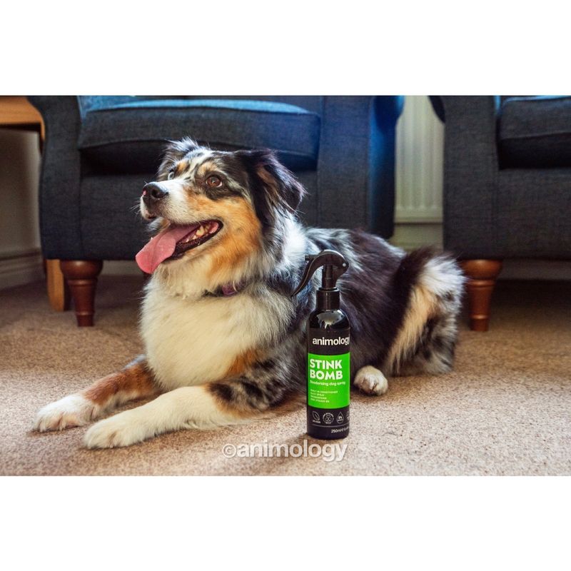 Animology Stink Bomb Refreshing Spray || Animology || view 2