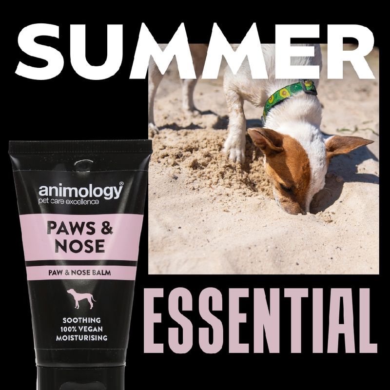 Animology Paws & Nose Balm, soothing 100% vegan moisturising paw and nose balm, shown as a summer essential with an image of a dog digging in sand.