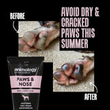 Before and after images of a paw showing improvement in dryness and cracks, with Animology Paws & Nose balm tube and text: Avoid dry & cracked paws this summer.