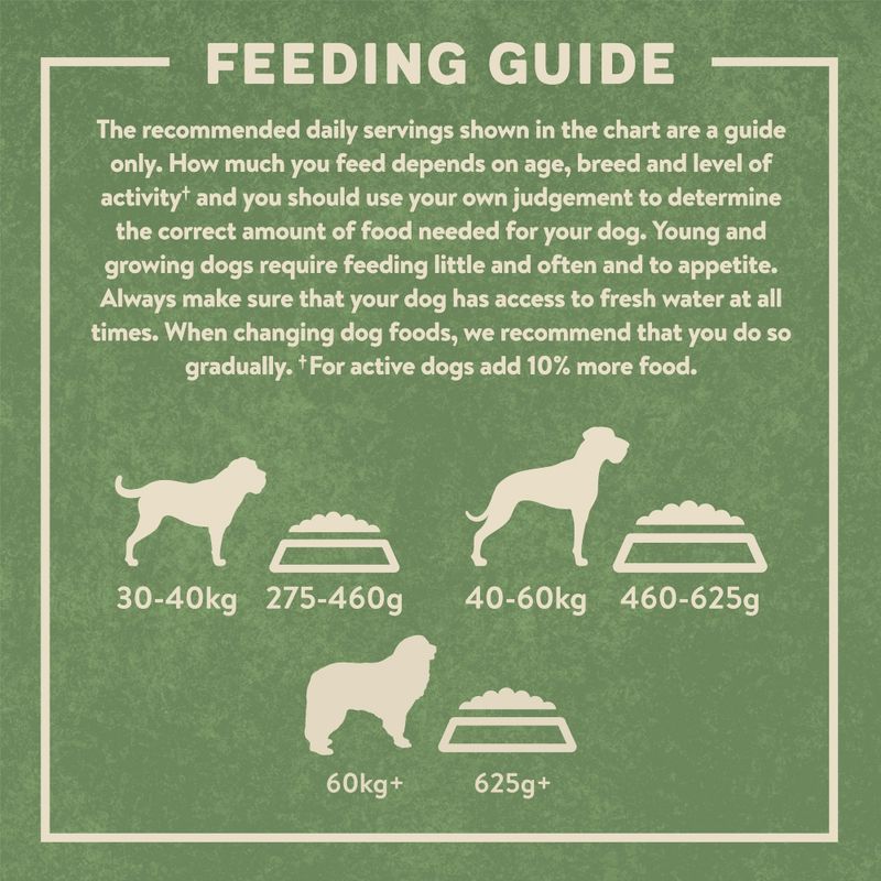 Harringtons Complete Large Adult Dog - Rich in Turkey & Rice || Harringtons || view 7