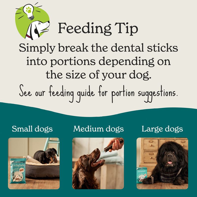 Forthglade Natural Dental Sticks for Dogs || Forthglade || view 8