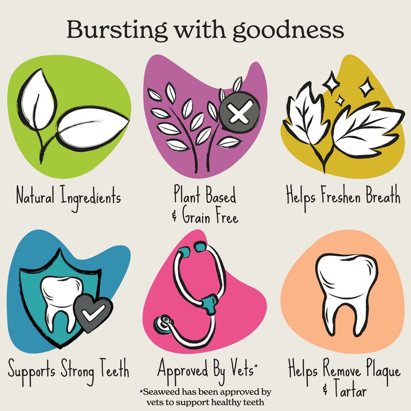 Forthglade Natural Dental Sticks for Dogs || Forthglade || view 5