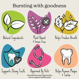 Forthglade Natural Dental Sticks for Dogs || Forthglade || view 5