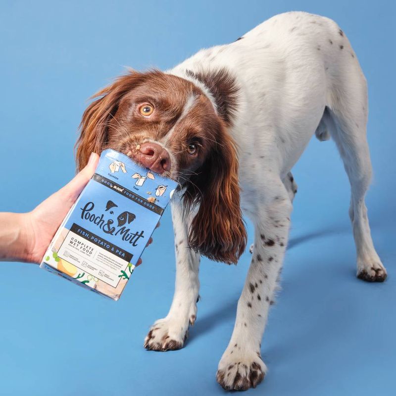 Pooch and Mutt Wet Dog Food -  Fish, Potato & Pea || Pooch & Mutt || view 6