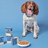 Pooch and Mutt Wet Dog Food -  Fish, Potato & Pea || Pooch & Mutt || view 5