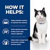Hill's Prescription Diet Feline i/d Digestive Care - Salmon || undefined || view 6