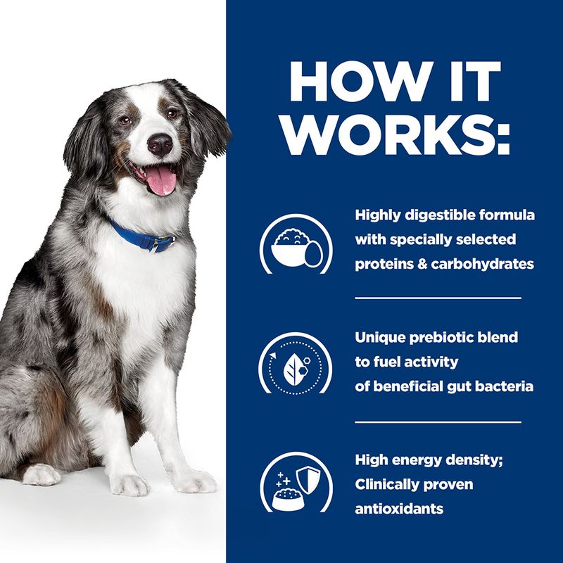 Hill’s Prescription Diet Canine i/d Sensitive Digestive Care - Egg & Rice || Hill's Prescription Diet || view 5
