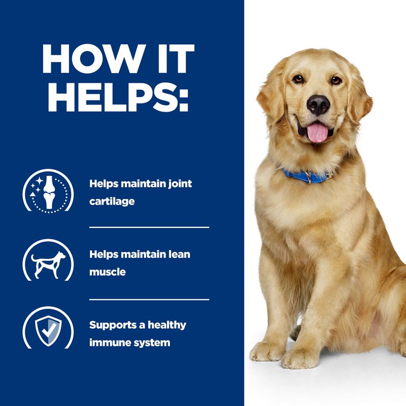 How it helps: helps maintain joint cartilage, helps maintain lean muscle, supports a healthy immune system. Image includes icons and a sitting dog.