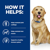 How it helps: helps maintain joint cartilage, helps maintain lean muscle, supports a healthy immune system. Image includes icons and a sitting dog.