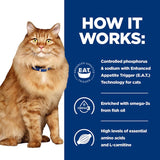 Hill's Prescription Diet Feline k/d+Mobility Kidney+Joint Care - Chicken || undefined || view 5