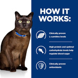Hill's Prescription Diet Feline m/d Diabetes/Weight Management - Original || Hill's Prescription Diet || view 5