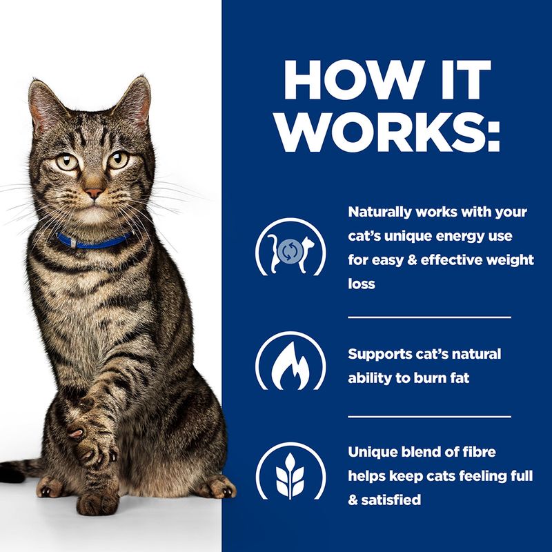 Hill’s Prescription Diet Feline Metabolic || undefined || view 5