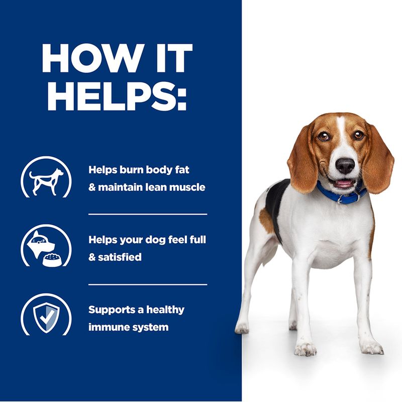 Hill's Prescription Diet Canine r/d Weight Reduction - Chicken || Hill's Prescription Diet || view 6